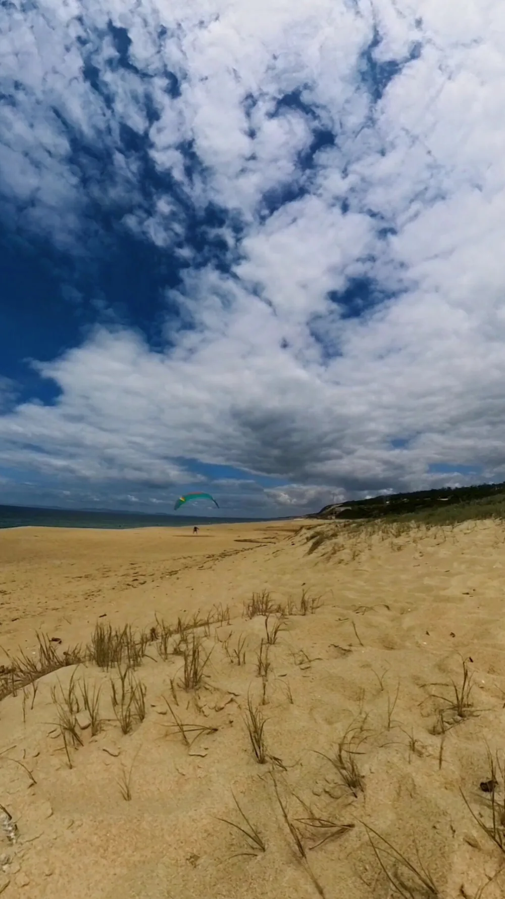 Praia de Alfarim vista do alto de uma duna com tufos de estorno; ao fundo, na areia, um piloto com uma asa verde e azul inflada acima da cabeça, o mar à esquerda e a linha de dunas à direita, sob um céu de nuvens altas.